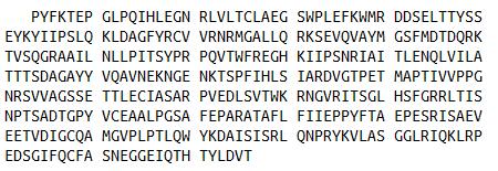 Sidekick同源物1(SDK1)重组蛋白