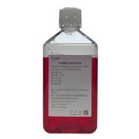 自然杀伤细胞无血清培养基