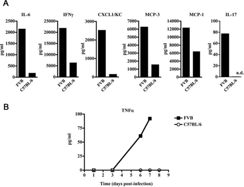 国产ELISA试剂盒48T/kit