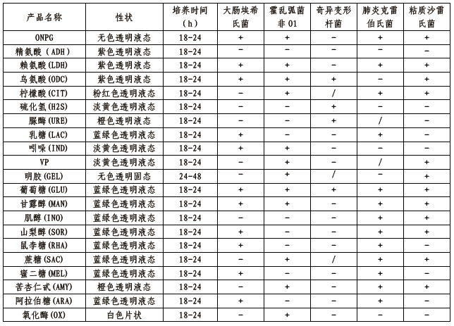 博检革兰氏阴性细菌鉴定系统