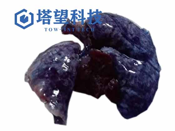 肺部雾化给药器(图1) 肺部雾化给药器(图1)