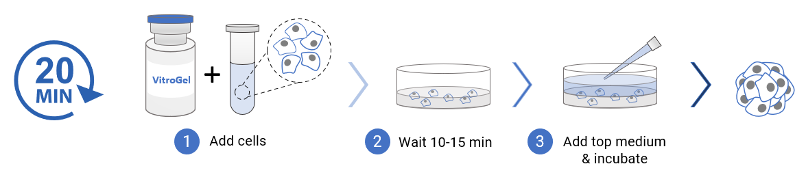 VitroGel® Hydrogel Matrix