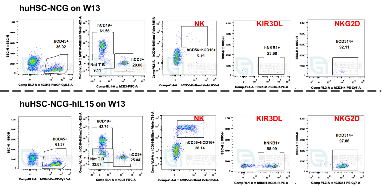 NCG-hIL15 免疫缺陷小鼠模型 人源化模型 ki基因敲