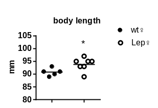 产品细节图片37