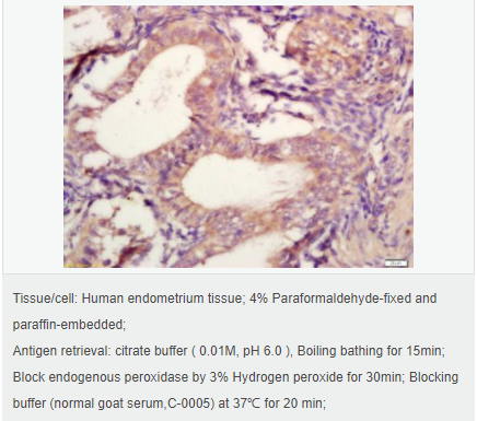 60656f9750cb8.png image.png