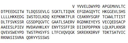 白介素12B(IL12B)活性蛋白