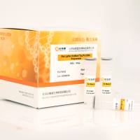 StarLighter 热启动 Taq Pro DNA 聚合酶