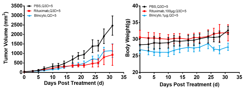 NCG-hIL15 免疫缺陷小鼠模型 人源化模型 ki基因敲