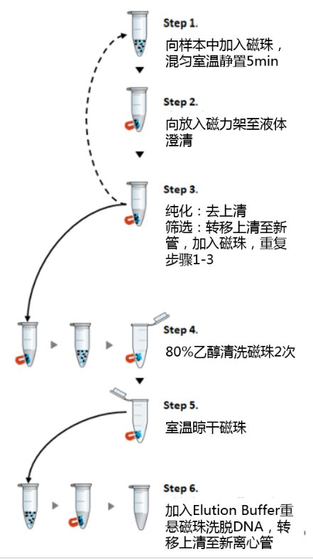 产品细节图片3
