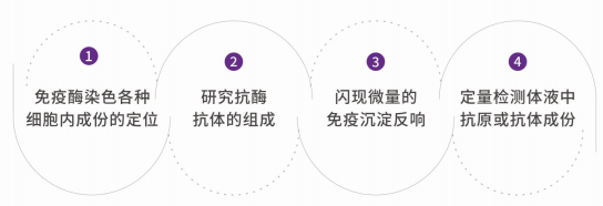 ELISA（酶联免疫吸附法）实验室服务