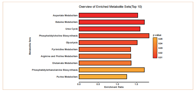 涉及通路 涉及通路
