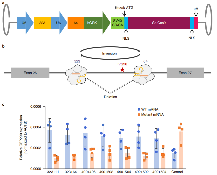 产品细节图片10