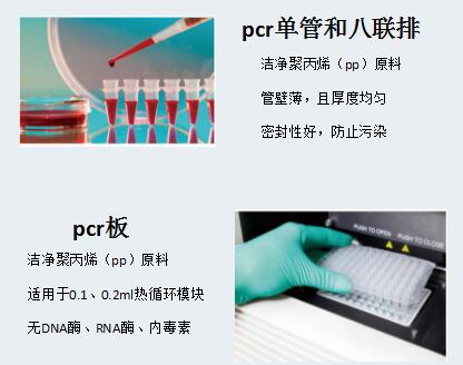 pcr.jpg