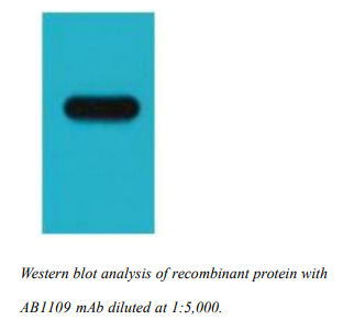 image 2022040204365703515