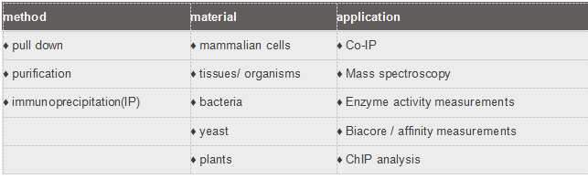 GFP-Booster_ATTO647N