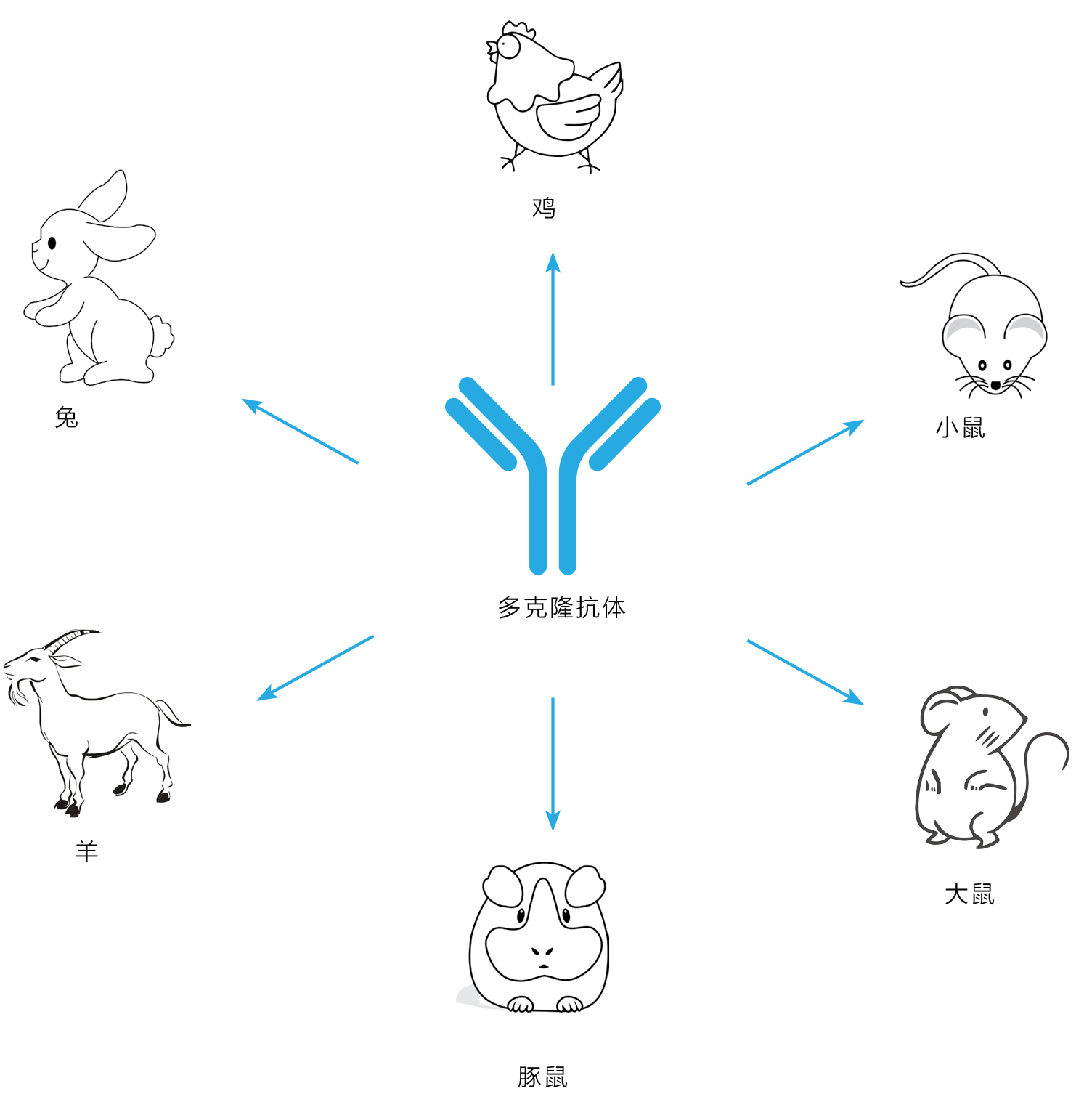 产品细节图片1