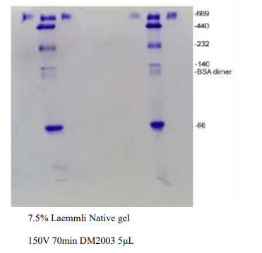 image 2022040203504490196