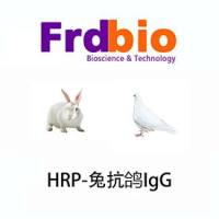 HRP-Rabbit Anti-Pigeon IgY(H+L)