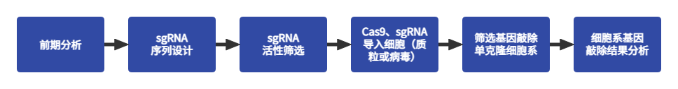 产品细节图片16