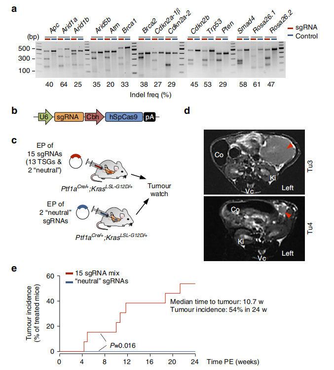 产品细节图片15