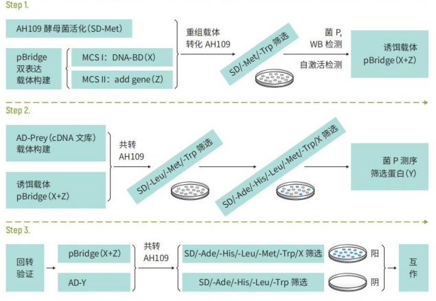 image 2022032402340096351