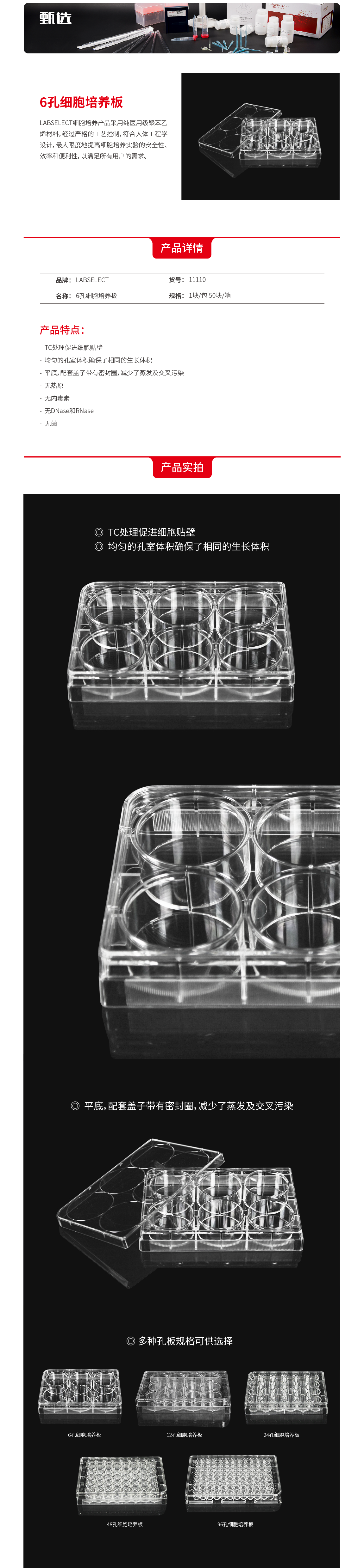  6孔细胞培养板