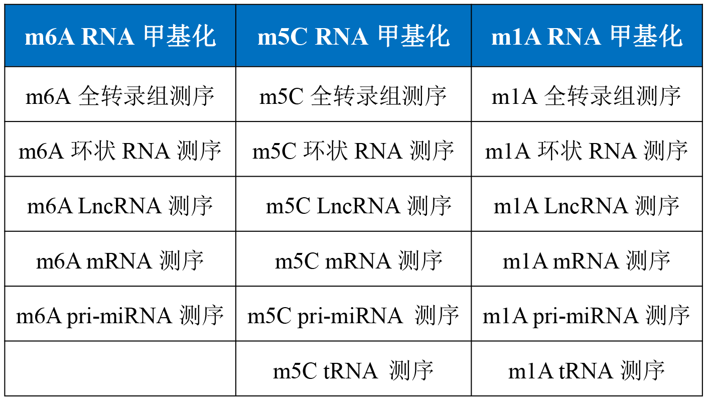 云序生物RNA甲基化测序产品