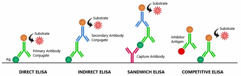 ELISA（酶联免疫吸附法）实验室服务