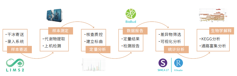 技术路线 技术路线