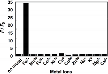 FeRhoNox-1 (Fe2+indicator) 亚铁离