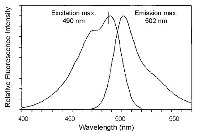 PKH67 Green Fluorescent Cell L