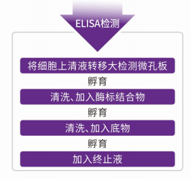 ELISA（酶联免疫吸附法）实验室服务
