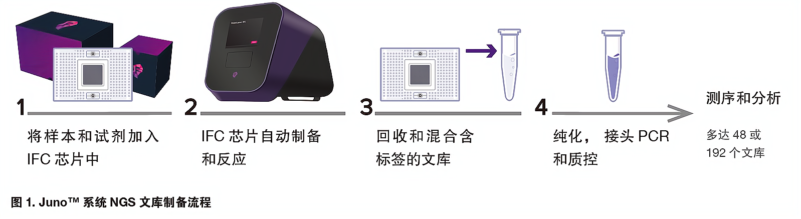 图片上传