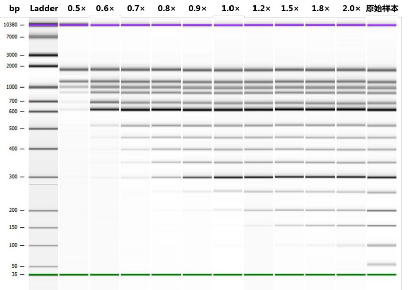 麦伯 Magic DNA Select Beads 筛选磁珠 M3021 替换AMPure XP A63880 M3022 M3023价格