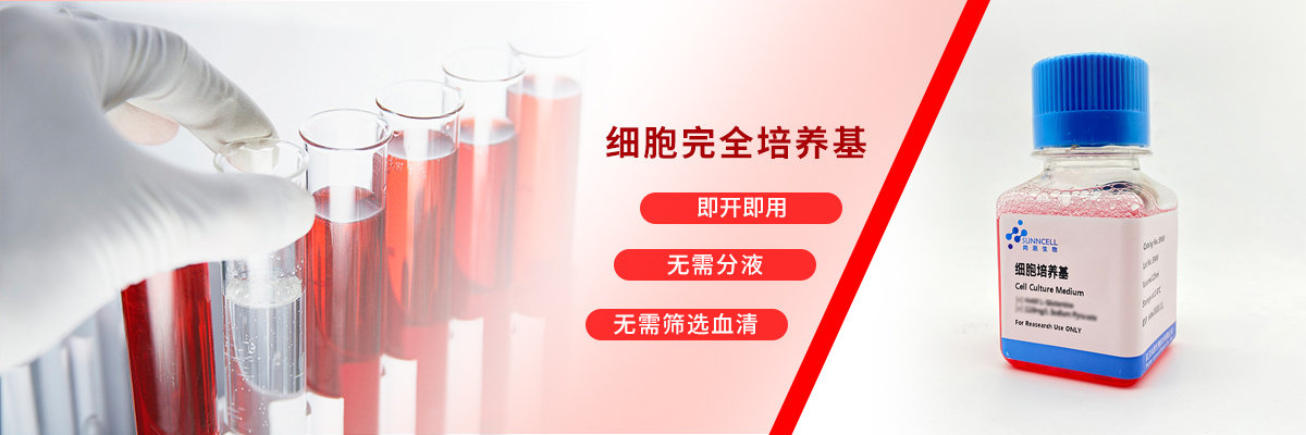 HFL1人胚肺成纤维细胞专用培养基