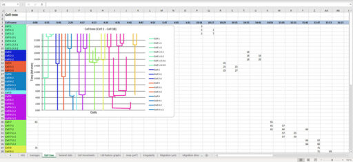 Image showing a cell tree in Excel with differently colored lines for different cell families