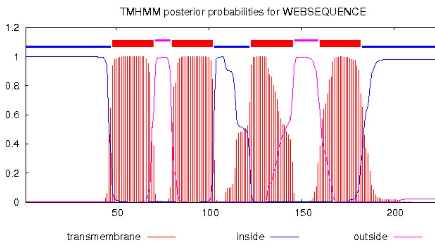 Absin抗体定制，免费提供分析方案！