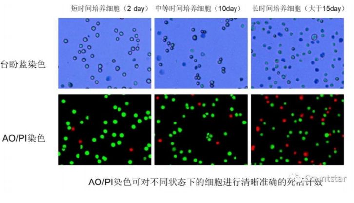 双荧光法细胞活率计数与台盼蓝方法细胞计数的区别
