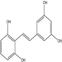 2,6,3',5'-四羟基二苯乙烯86361-55-9
