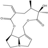 千里光宁130-01-8