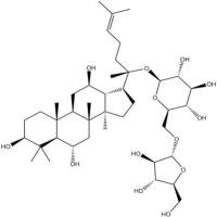 人参皂苷F5189513-26-6