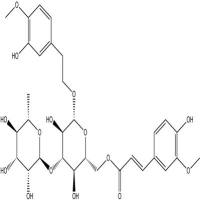 异地黄苷94410-22-7
