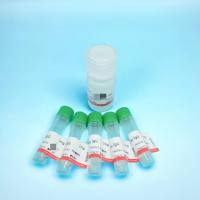 AU-兔抗大鼠IgG(H+L)