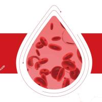血液全场景解决方案