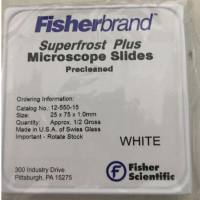 Fisher防脱载玻片载玻片12-550-15