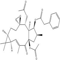大戟因子L176376-43-7