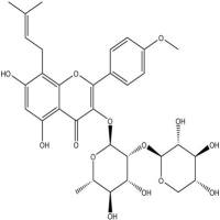 箭藿苷B118525-36-3