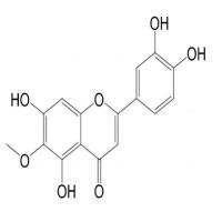 泽兰黄酮520-11-6