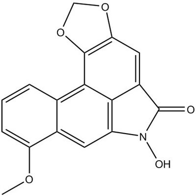 N-羟基马兜铃内酰胺 I944954-53-4