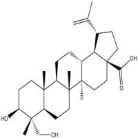 23-羟基白桦酸85999-40-2